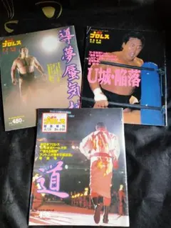 DVD 大日本プロレス 日本の過激プロレス Autumn FIRE 葛西純 - メルカリ