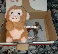 パンチくん　ハッピーズー CUTE ぬいぐるみ 　市川市動植物園　未使用保管品のサムネイル