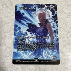 MTG 自然の力、ストーム　日本語2枚 MARのサムネイル