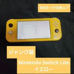 日曜日限定値下げ✩.*˚ジャンク品 Nintendo Switch Lite