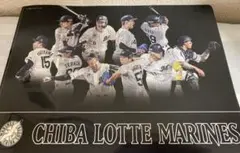 千葉ロッテマリーンズ 選手集合 クリアファイル5枚