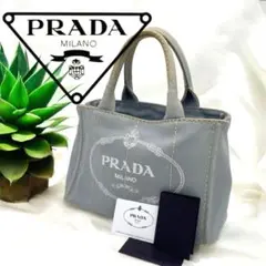 正規品 鑑定済み PRADA プラダ トートバッグ カナパ グレー 2025年最新】Yahoo!オークション -プラダ カナパ グレーの中古品