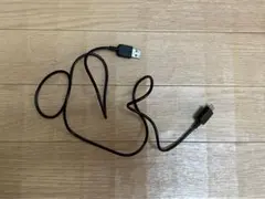 Item thumbnail for item 1923ab32-3c3d-4c5b-be19-f16884d05d4d