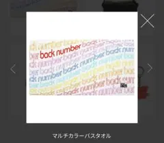 ⭐︎egg⭐︎2023ビーチタオル（豹柄＆ゼブラ柄）2枚セット - メルカリ