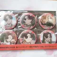 WIND BREAKER ウィンブレ 蘇枋隼飛 缶バッジ セット