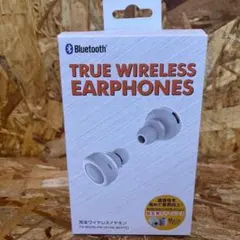 【新品】【送料無料】TRUE WIRELESS EARPHONES