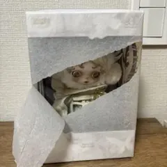 正規品 上海限定 スカルパンダ popmart