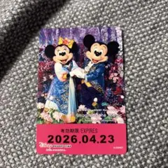 東京ディズニーリゾート「イマジニング・ザ・マジック」 フリーきっぷ