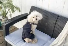 Item thumbnail for item 7e4e22bc-77c5-4e18-9b13-6a9b71698389