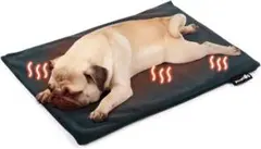 Item thumbnail for item a8c4248d-37ac-46c2-9b09-513bc4c37eb1