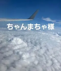 ちゃんまちゃ様