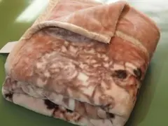 ふっくら暖かボリューム二重合わせ毛布淡いピンク系花柄シングルサイズ