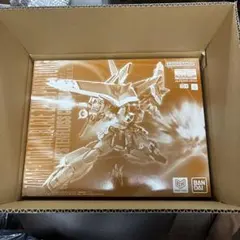 MG 1/100 ブレイズザクファントム(ハイネ・ヴェステンフルス専用機)