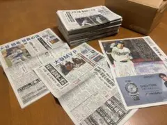 号外付【大谷翔平コンプリート2025】地元紙はどう伝えたか！ 全83日＋号外のサムネイル