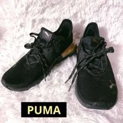 美品　PUMAのレディーススニーカー　24.5