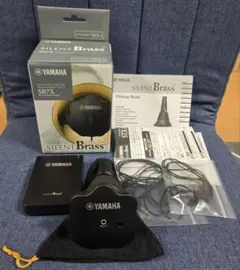 Item thumbnail for item 61ace513-84d4-4531-9b79-c0506d0e23af