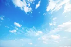 minmin様専用