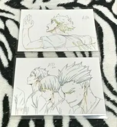ハイキュー!! 原画 ポストカード 2種類セット④ ラミネート バラ売り❌️
