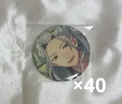 あんスタ 缶バッジ 乱凪砂 コレクション 2025 Jan Casual