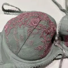 さやえんどう大好き様 リクエスト 2点 まとめ商品