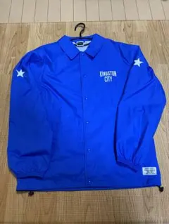 Item thumbnail for item a1a34236-cf96-49d9-b3fb-df5ec9552dc3