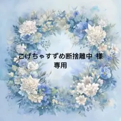 こげちゃすずめ断捨離中様　専用