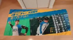 希少】2015ザスパクサツ群馬vsセレッソ大阪 フェアプレーフラッグ