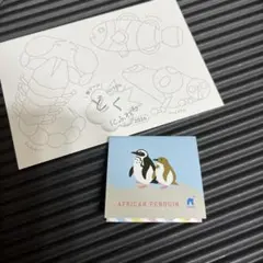 非売品　ニフレル　メモ帳　小さめのペンギンのメモ帳　ポストカード付き