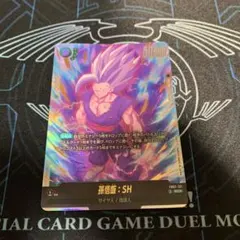 孫悟飯: SH ビーストSEC フュージョンワールド