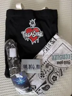 TREASURE REBOOT プレミアム グッズ アプグレ 欠けなし