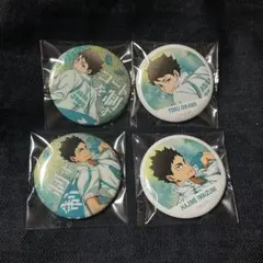 ハイキュー 及川 岩泉 青葉城西 横断幕 缶バッジ レア セット