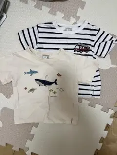 80センチTシャツ2枚セット　プティマイン