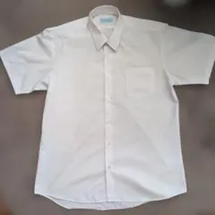 Item thumbnail for item 44bc0252-2126-40be-a9d3-5cd5e02e062e