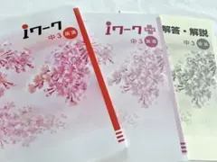 iワーク　中3 国語セット　受験生のサムネイル