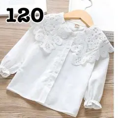 ブラウス　シャツ　長袖　レース　女の子　フォーマル　丸衿　子供服　入園式　結婚式
