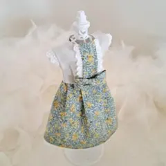 【限定1点】22cmドール服　着せ替え　リカちゃん　ブライス　アウトフィット