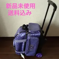 Item thumbnail for item 9e35babd-b86f-481a-a434-8a500f353418