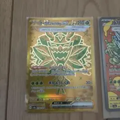 オーガポン　まとめ売り