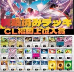 窩るタケルライコex構築済みデッキ　ライコポン　CLシティリーグ　福岡上位デッキ
