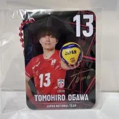バレーボール男子日本代表 メタルチャーム ガチャガチャ 小川智大