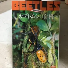 Item thumbnail for item 3d3e4a6b-cf62-43ff-8561-ec1640b4b30f