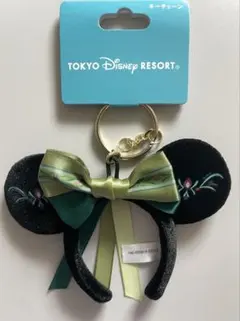 新品未使用品 東京ディズニーリゾート アナ雪 カチューシャ キーチェーン アナ