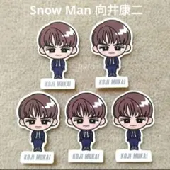 Snow Man 向井康二 ブラザービート 特典 すのチルステッカーシール5枚⑤
