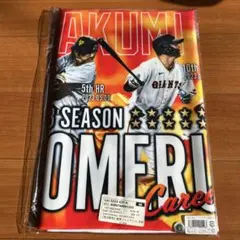 Item thumbnail for item 9a9fb8ab-77de-4e36-949c-ca5f61ceeef5