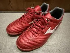 ミズノ モナルシーダ トレシュー レッド 27cm