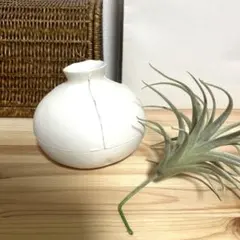 Item thumbnail for item 991d605a-d641-403a-aec0-72ff9401f662