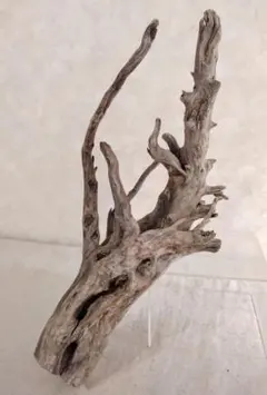 ちゃむ様 リクエスト 2点 まとめ商品