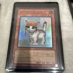 遊戯王　レスキューキャット　3枚セット