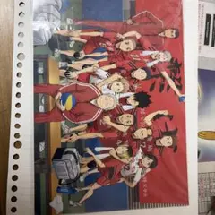 ハイキュー!! ブロマイド　音駒高校チームメンバー