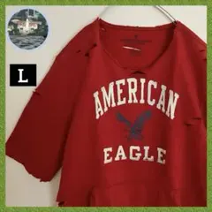 アメリカンイーグルビッグロゴダメージ古着ボロスウェットトレーナーグランジBORO